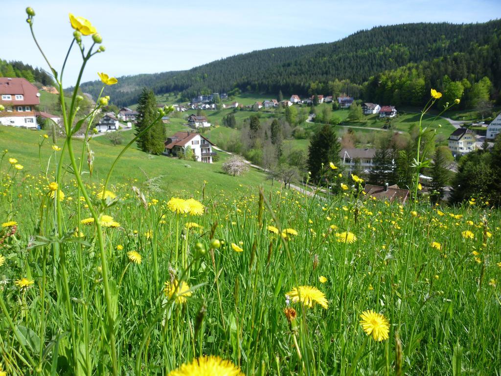 Schwarzwald-ferienwohnungen Begert Apartment *