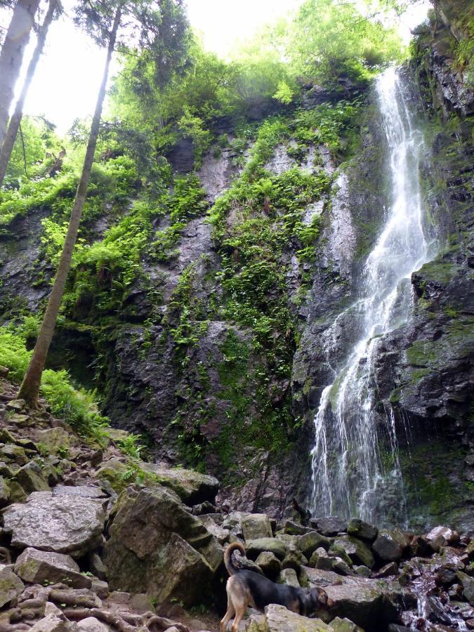 Schwarzwald-ferienwohnungen Begert * Baiersbronn