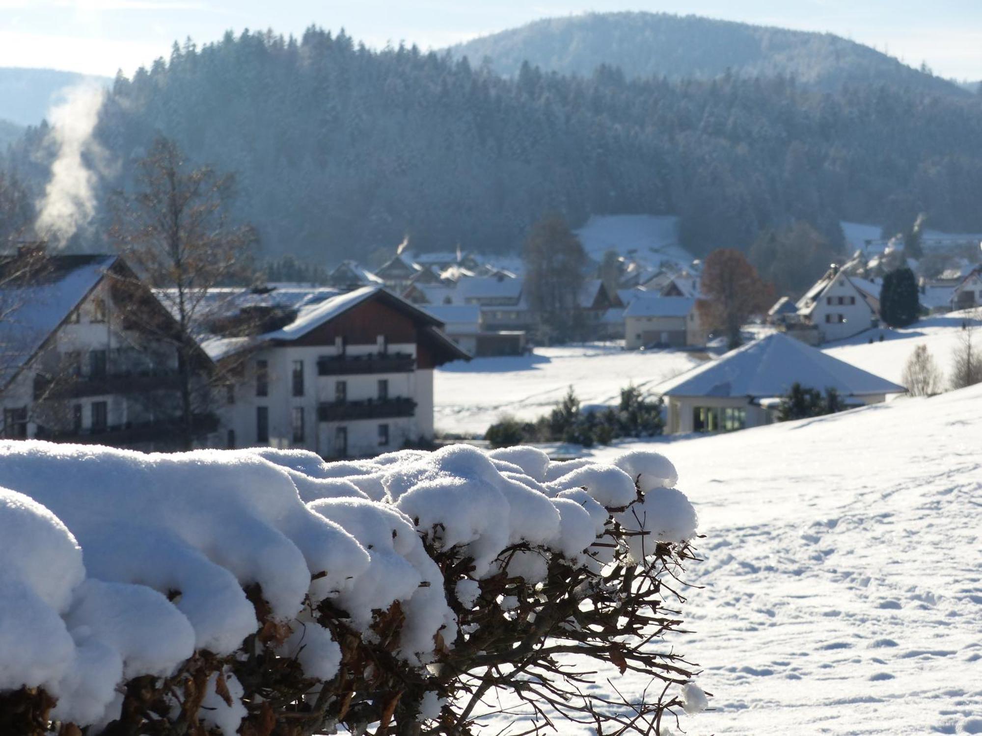Apartment Schwarzwald-ferienwohnungen Begert *