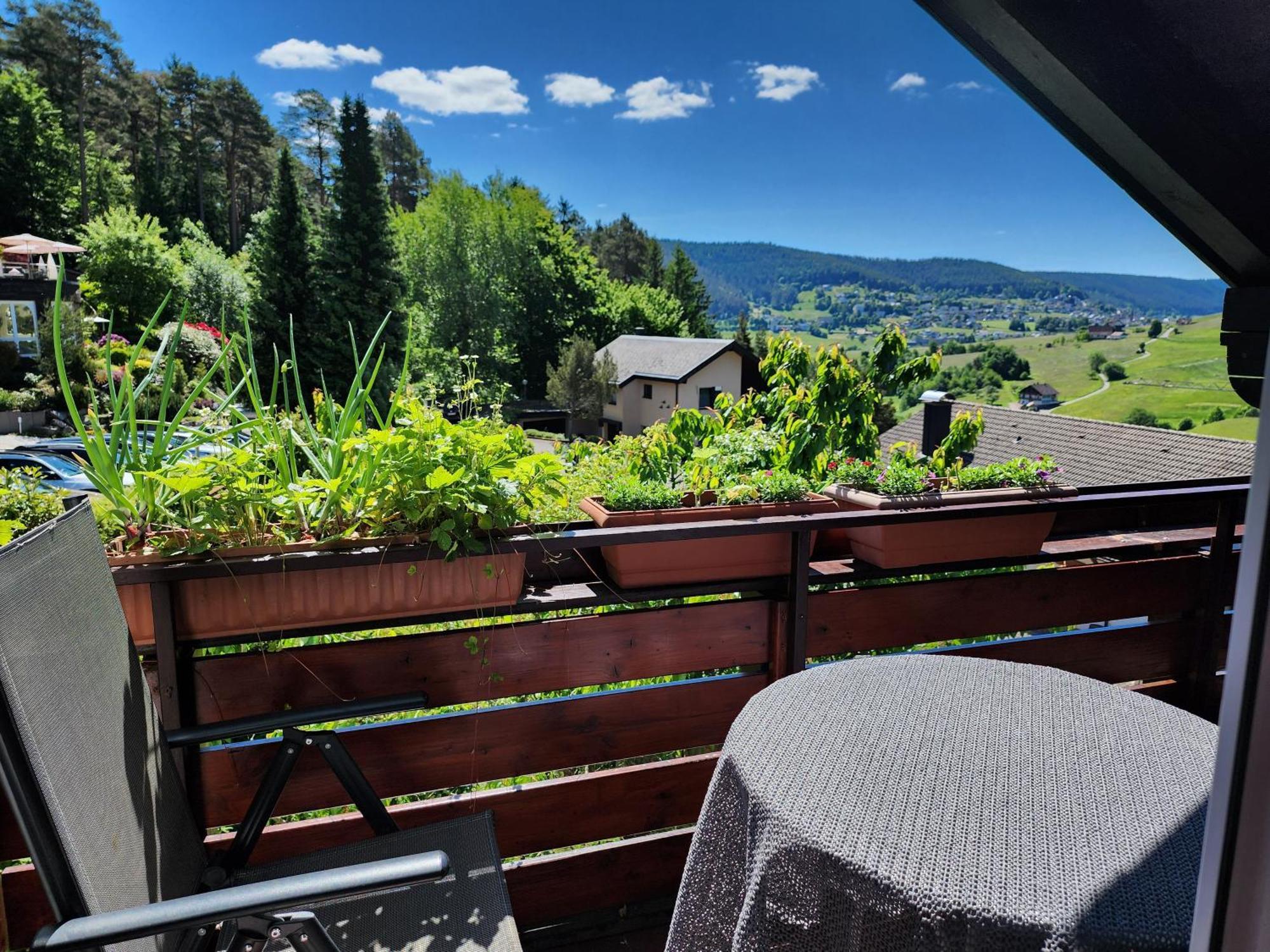 Schwarzwald-ferienwohnungen Begert Baiersbronn