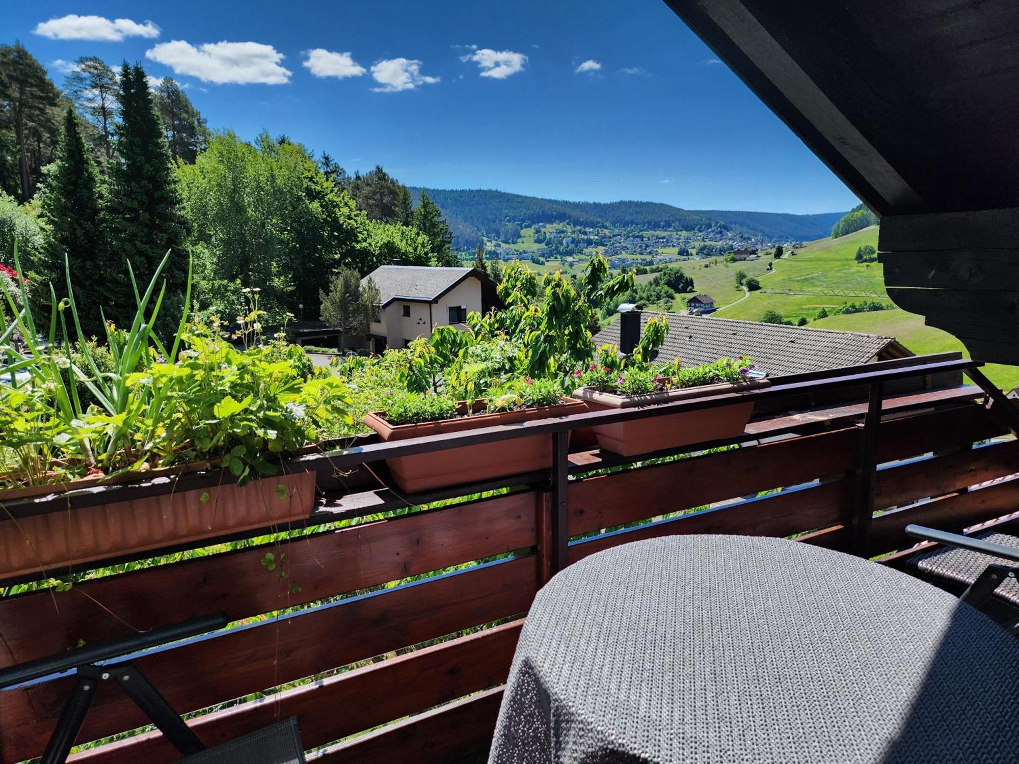 Apartment Schwarzwald-ferienwohnungen Begert *