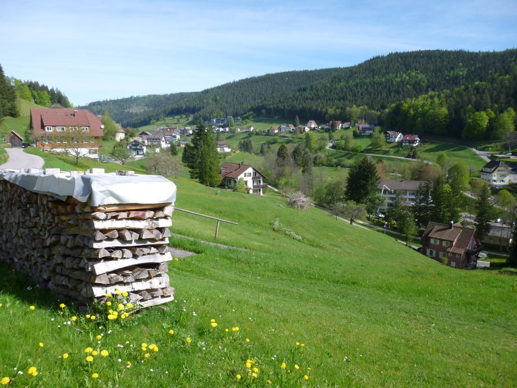 Schwarzwald-ferienwohnungen Begert * Байрсброн