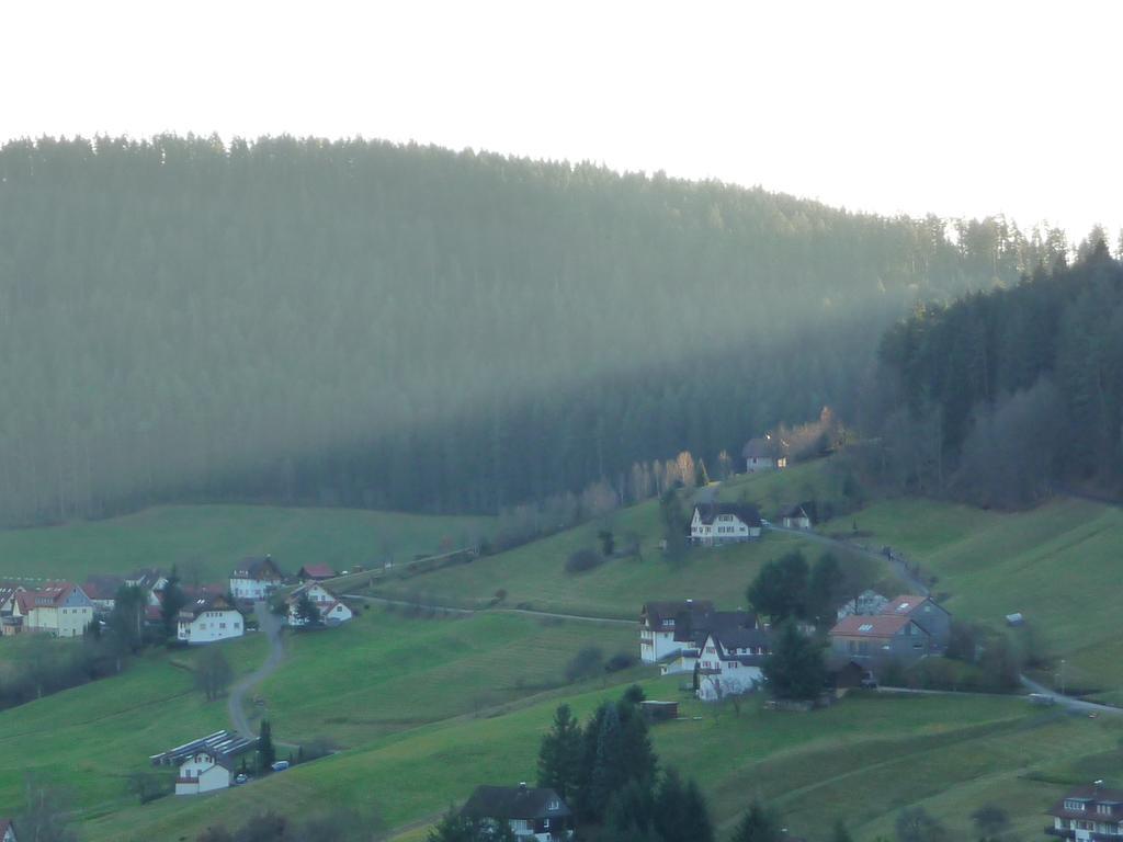 Apartment Schwarzwald-ferienwohnungen Begert *